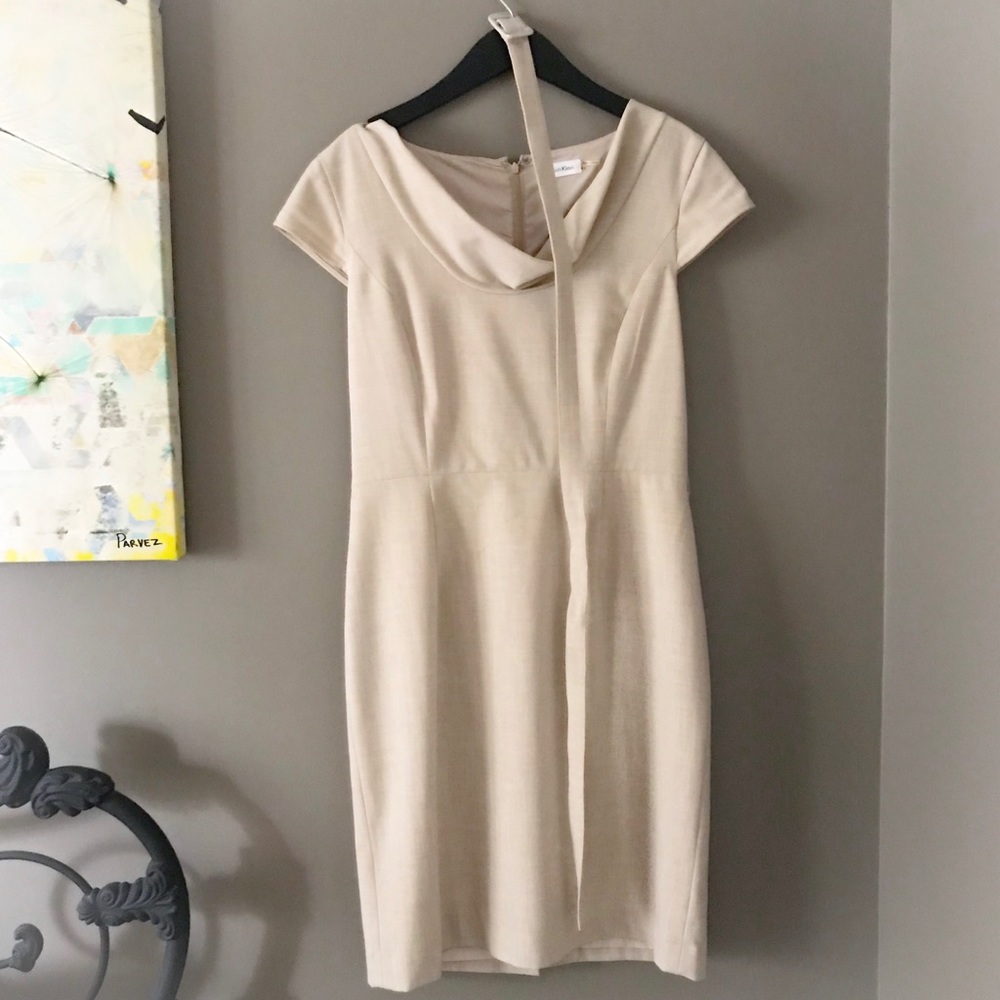 Calvin Klein Career Dress